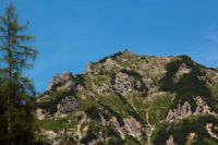 2014-08-02_06FritzPflaum-Steig (131).JPG